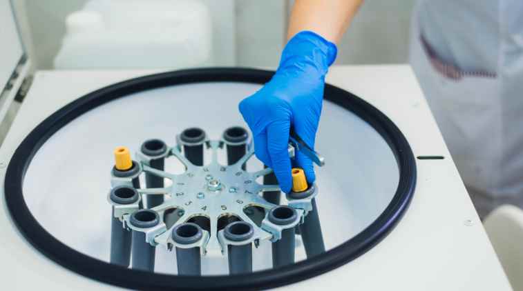covid rt pcr gestão covid